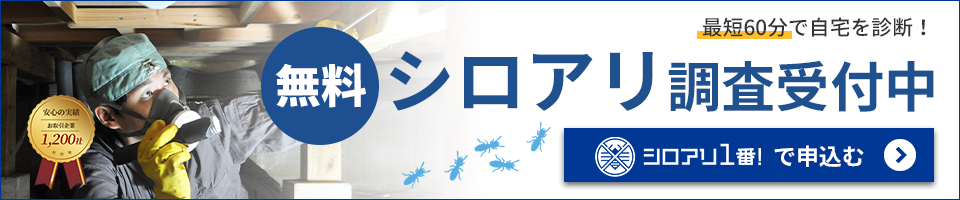 シロアリ１番！調査申込み