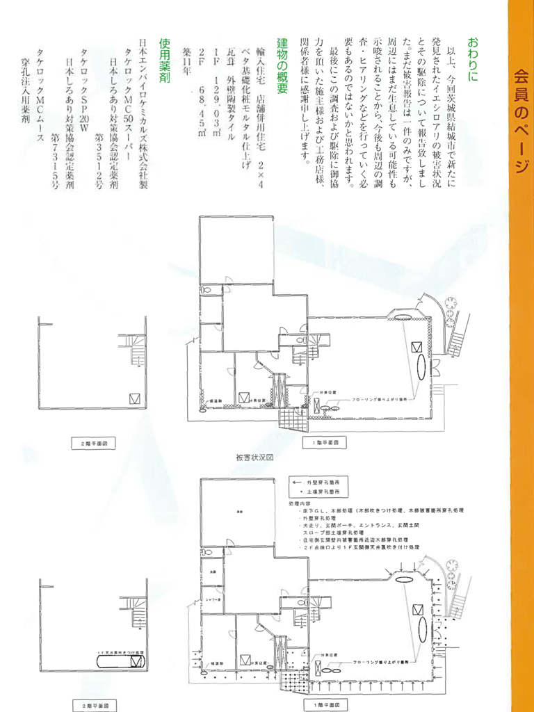 イエシロアリ記事3